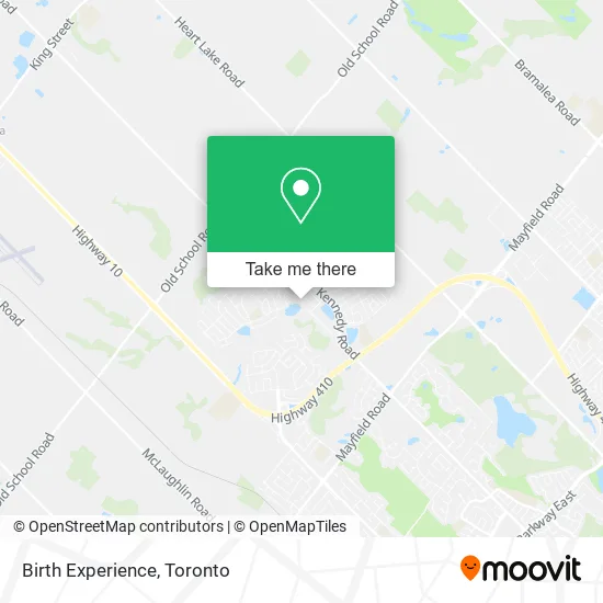 Birth Experience map