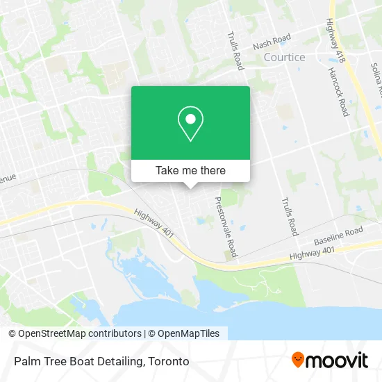 Palm Tree Boat Detailing map