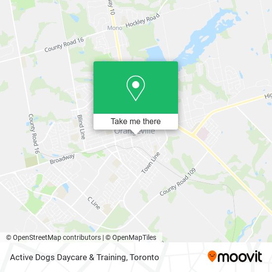 Active Dogs Daycare & Training map