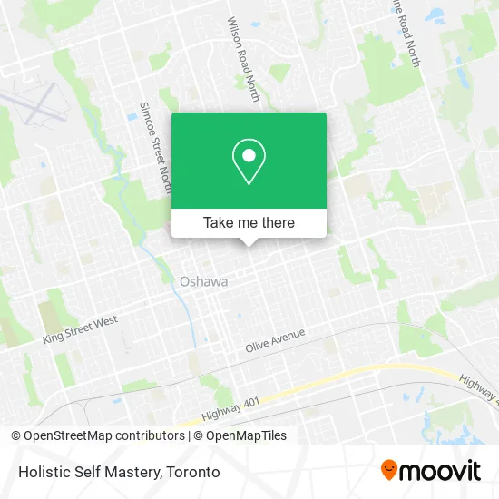 Holistic Self Mastery map