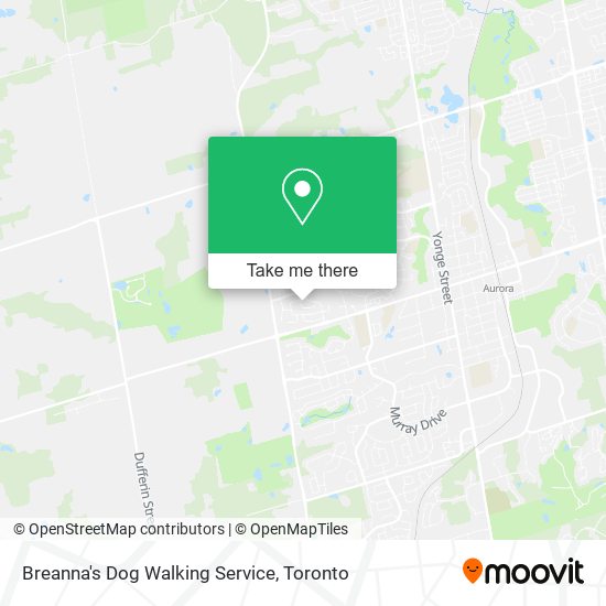 Breanna's Dog Walking Service plan