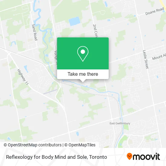 Reflexology for Body Mind and Sole map