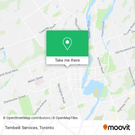 Tembeik Services map