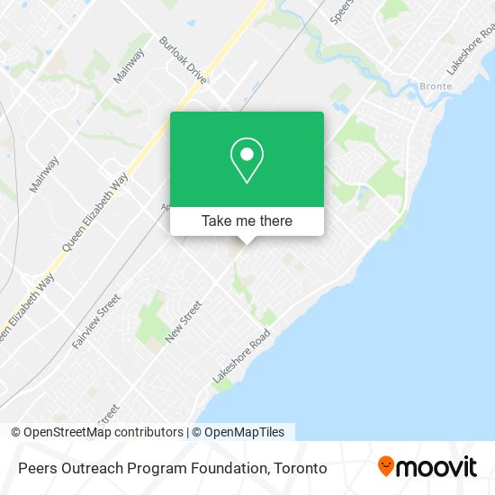 Peers Outreach Program Foundation plan