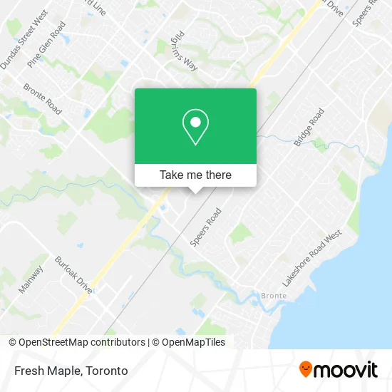 Fresh Maple map