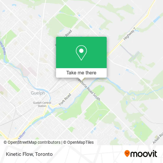 Kinetic Flow map