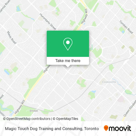 Magic Touch Dog Training and Consulting plan