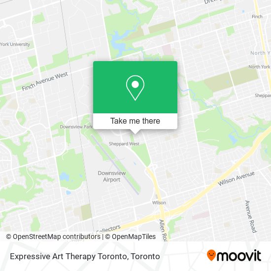 Expressive Art Therapy Toronto plan