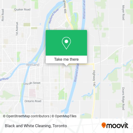 Black and White Cleaning plan