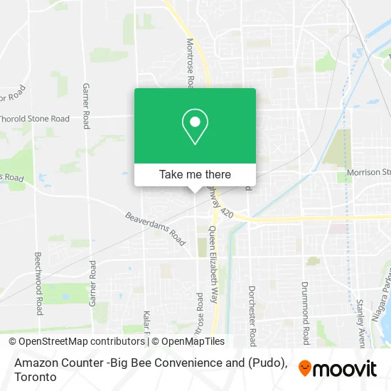Amazon Counter -Big Bee Convenience and (Pudo) map