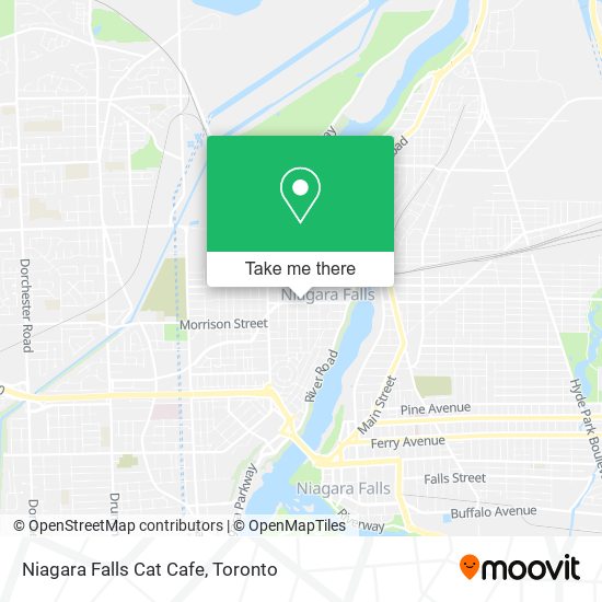 Niagara Falls Cat Cafe plan