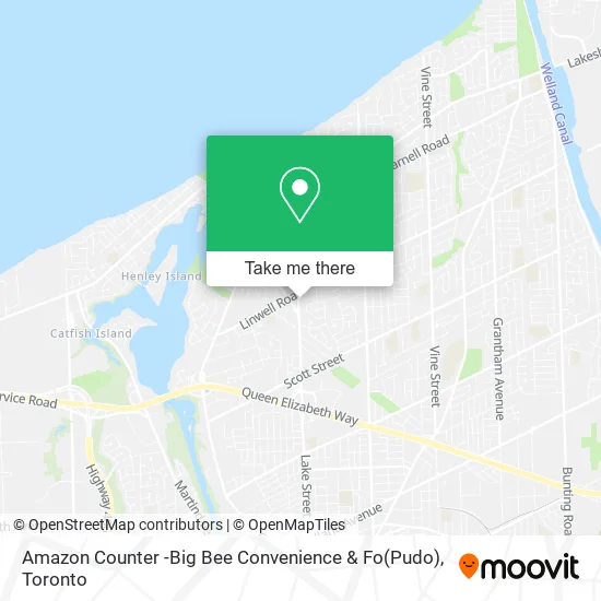 Amazon Counter -Big Bee Convenience & Fo(Pudo) map