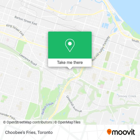 Choobee's Fries plan
