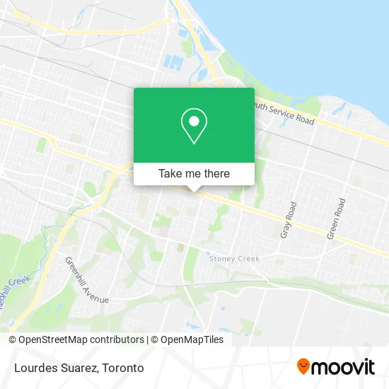 Lourdes Suarez map