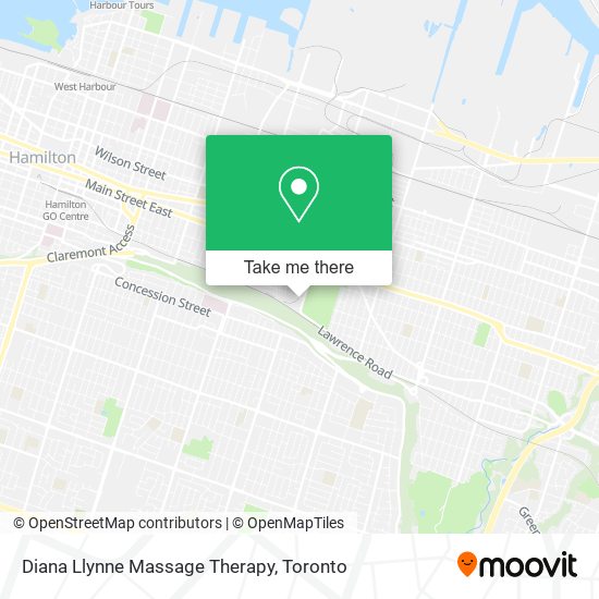 Diana Llynne Massage Therapy plan