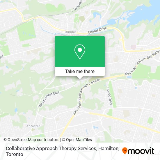 Collaborative Approach Therapy Services, Hamilton plan