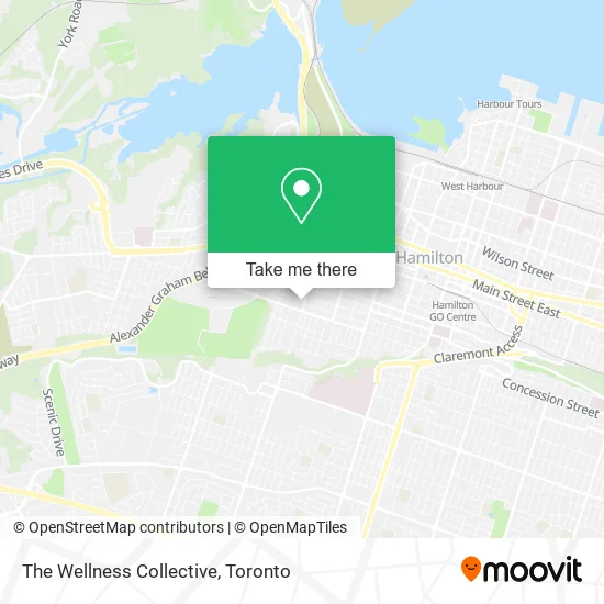 The Wellness Collective map