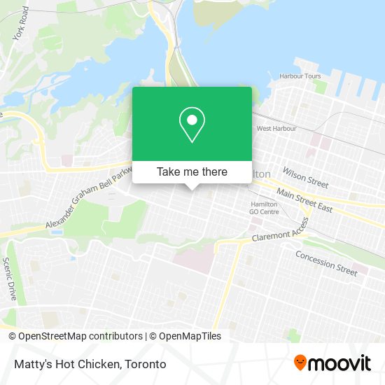 Matty's Hot Chicken plan