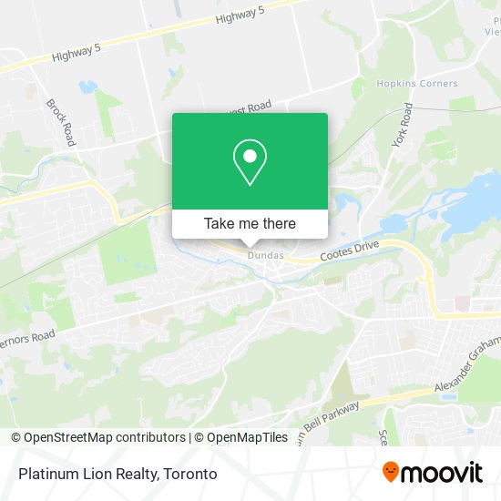 Platinum Lion Realty plan