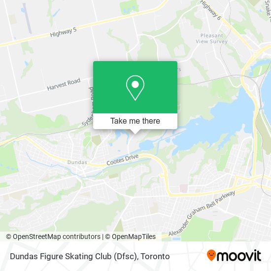 Dundas Figure Skating Club (Dfsc) plan