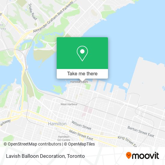 Lavish Balloon Decoration map