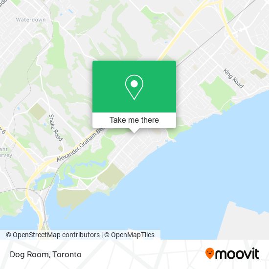 Dog Room map