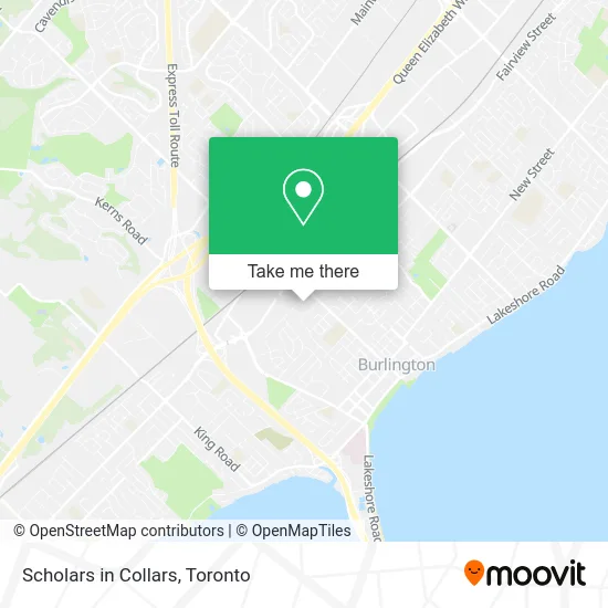 Scholars in Collars map