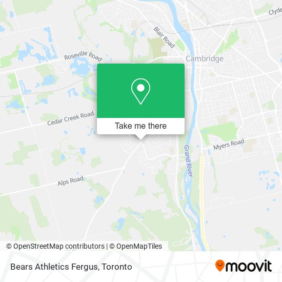 Bears Athletics Fergus map