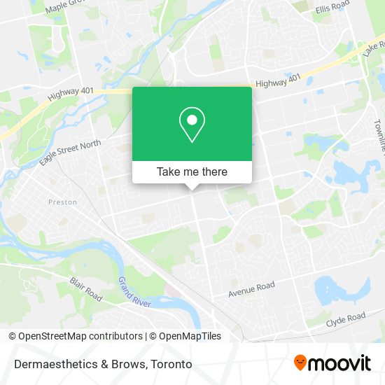 Dermaesthetics & Brows plan