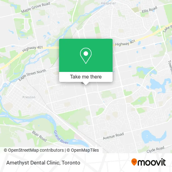 Amethyst Dental Clinic map