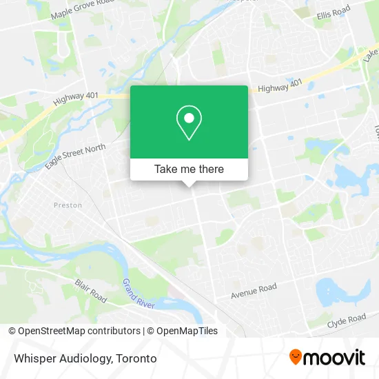 Whisper Audiology plan