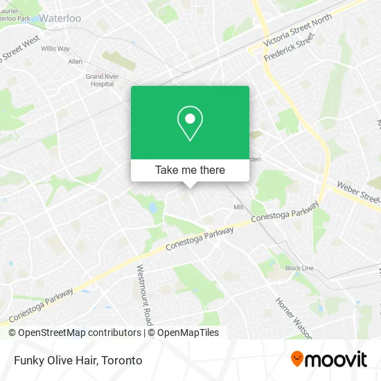 Funky Olive Hair map