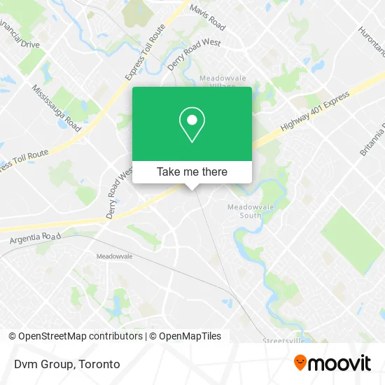 Dvm Group map