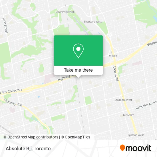 Absolute Bjj map