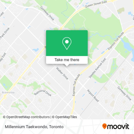 Millennium Taekwondo plan