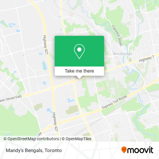 Mandy's Bengals plan