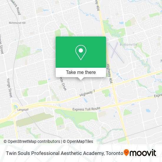 Twin Souls Professional Aesthetic Academy plan