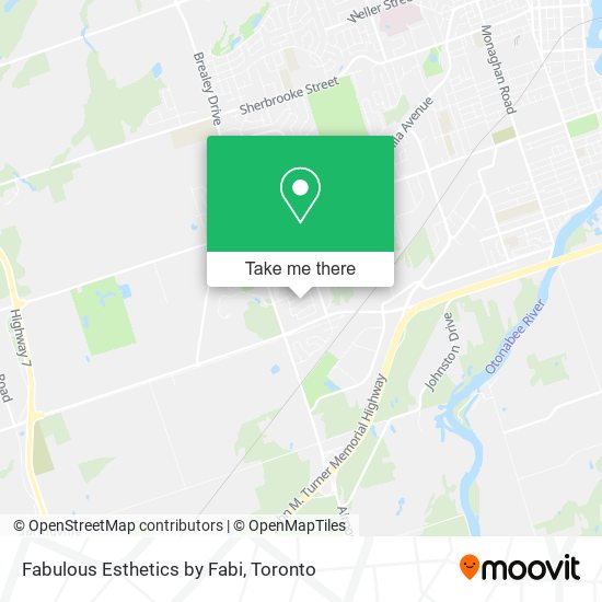 Fabulous Esthetics by Fabi map
