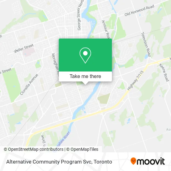 Alternative Community Program Svc plan
