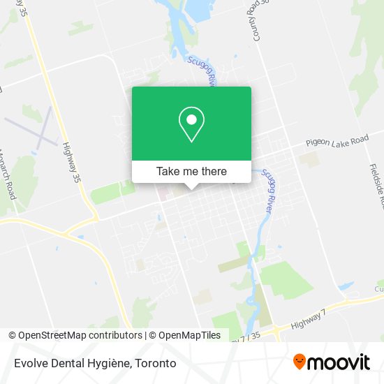 Evolve Dental Hygiène map