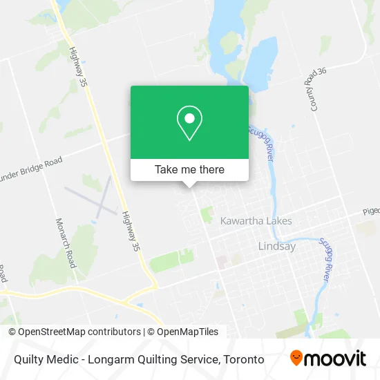 Quilty Medic - Longarm Quilting Service map