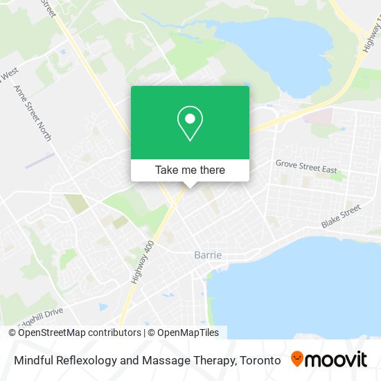 Mindful Reflexology and Massage Therapy plan