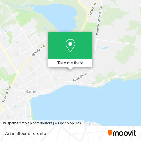 Art in Bloem map