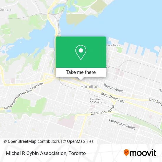 Michal R Cybin Association map