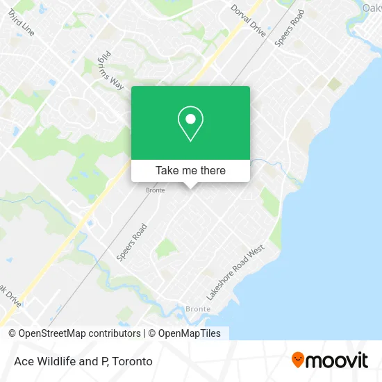 Ace Wildlife and P map