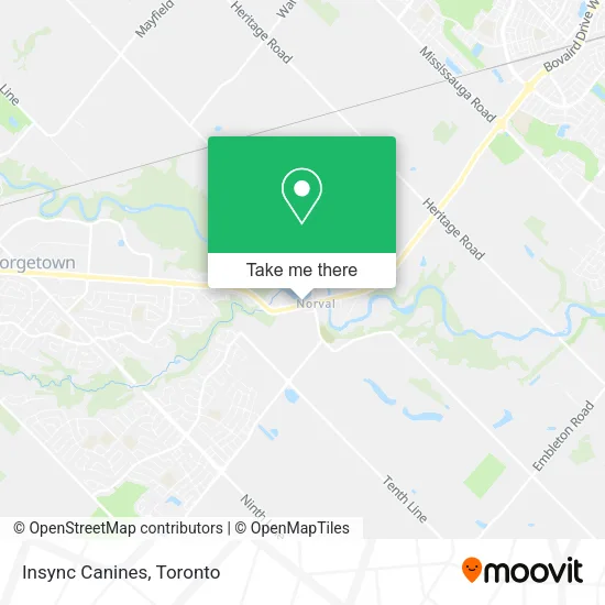 Insync Canines map