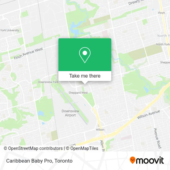Caribbean Baby Pro map