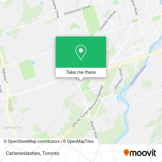 Carleneslashes map
