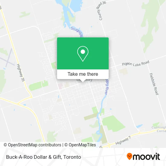 Buck-A-Roo Dollar & Gift plan