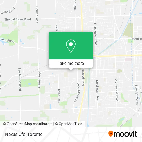 Nexus Cfo map